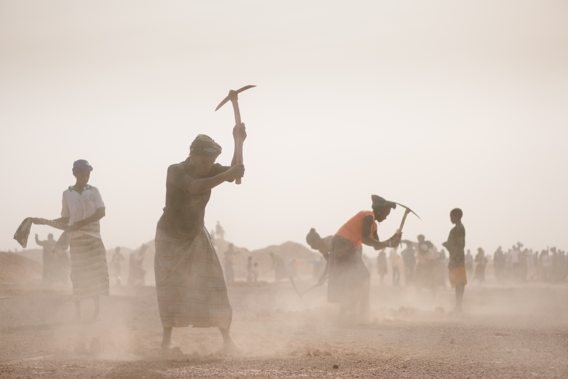 Burkina-Faso-Trees-Reforestation-Ecosia--17-of-38-