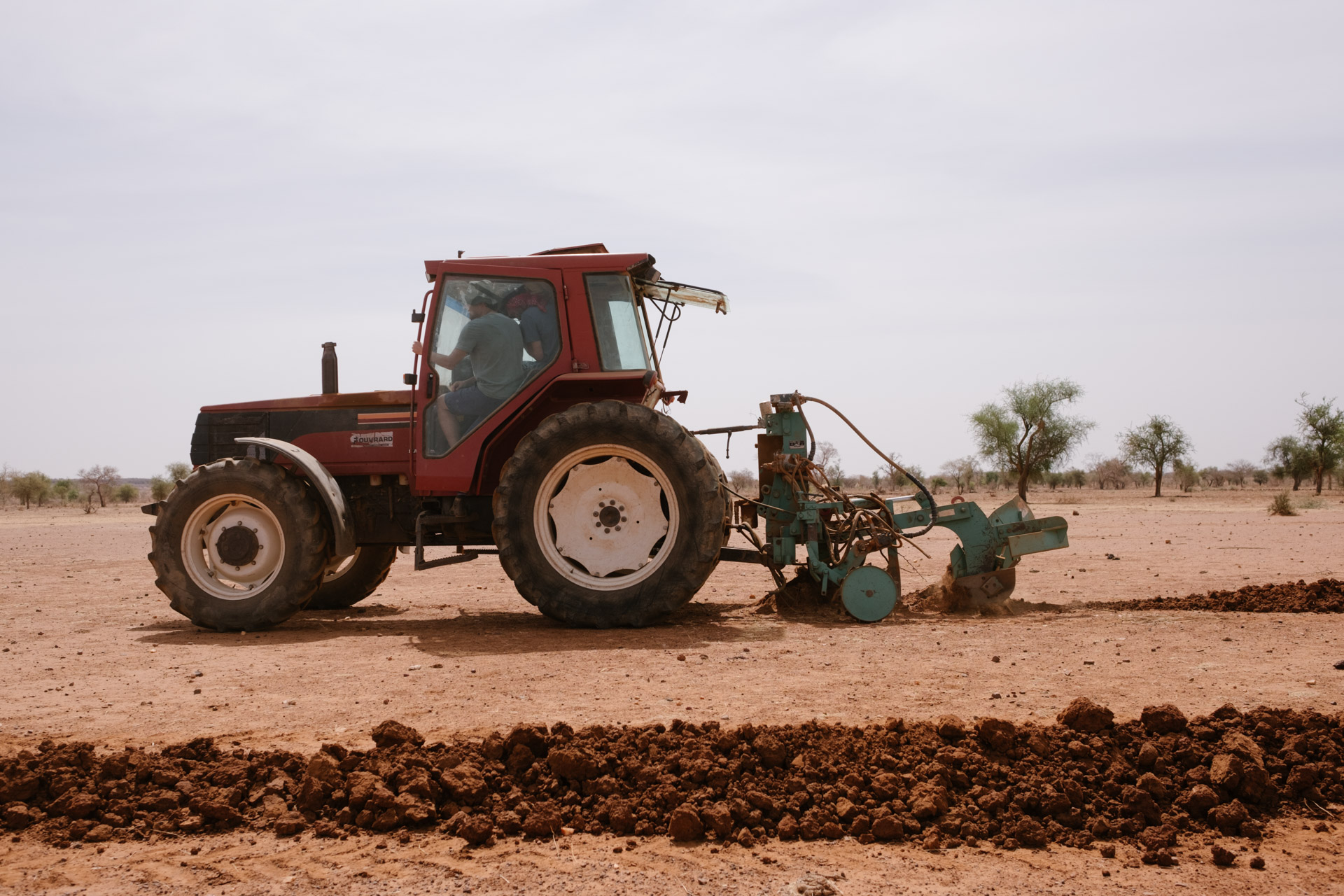 Burkina-Faso-Trees-Reforestation-Ecosia--25-of-38-