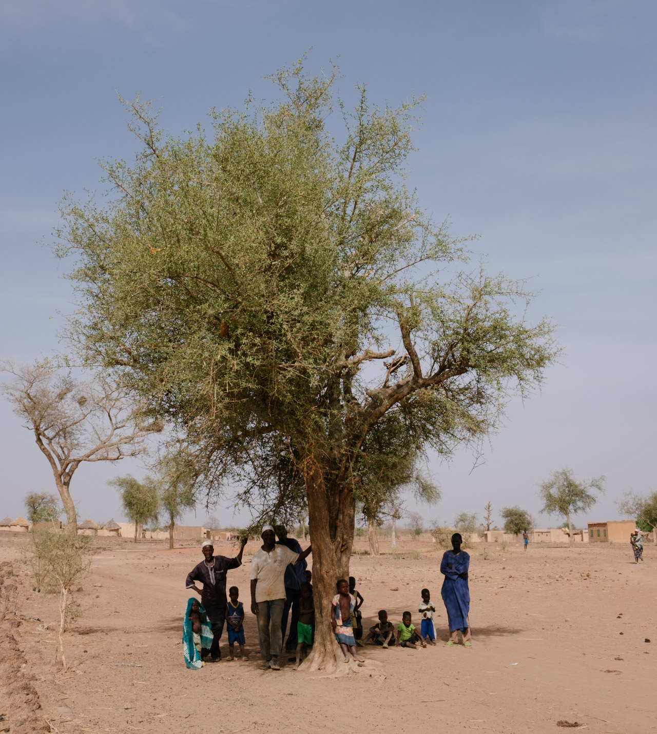 Burkina-Faso-Trees-Reforestation-Ecosia--35-of-38--1