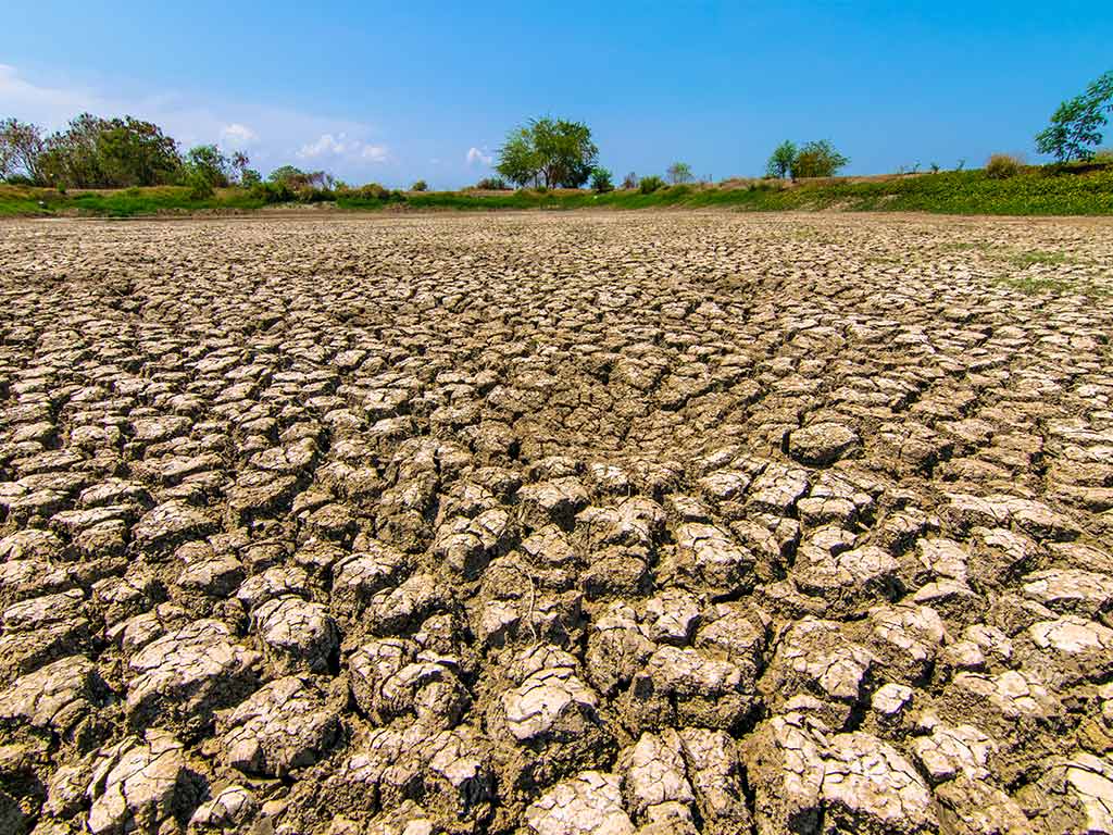 Agriculture is broken, but we can fix it