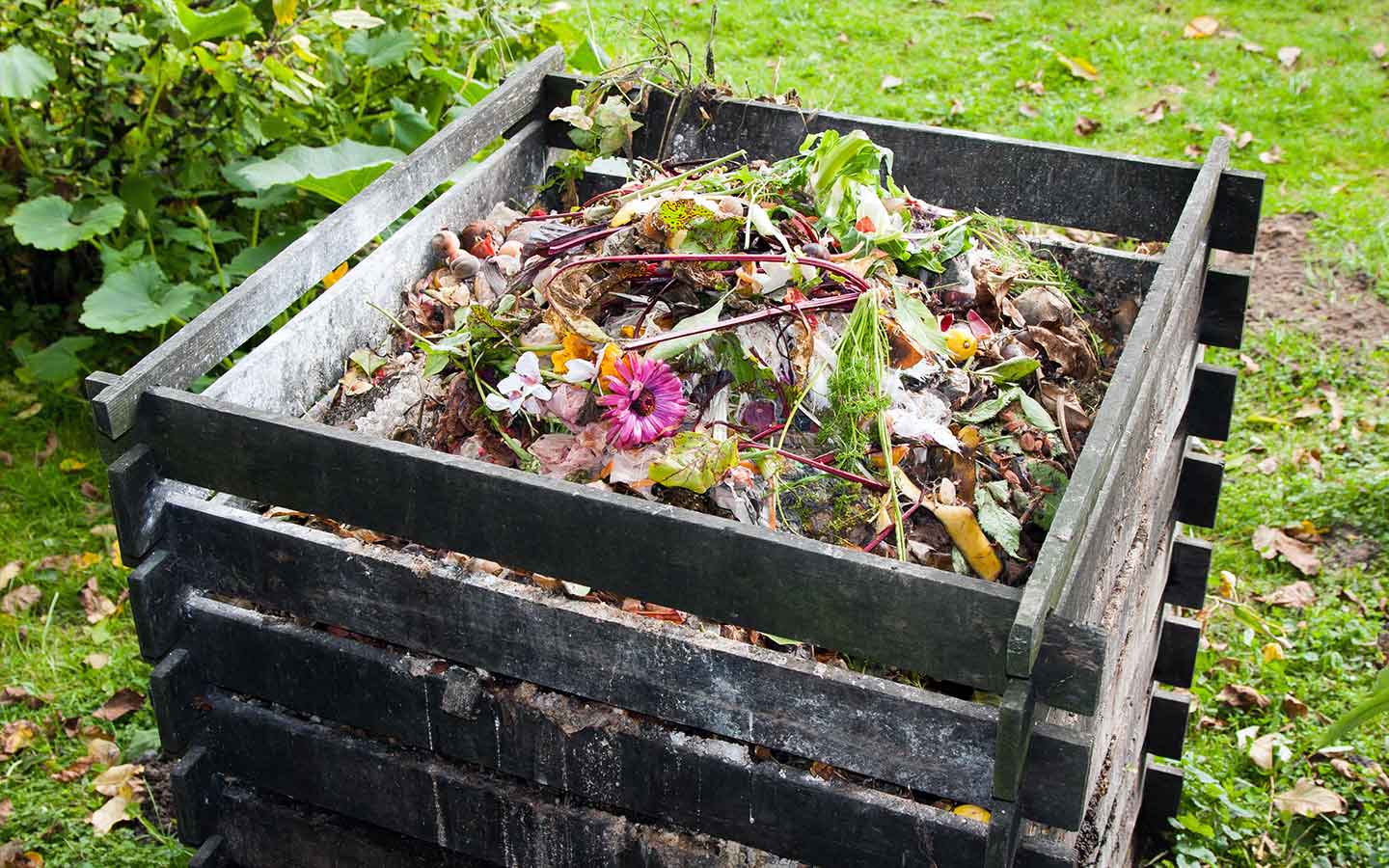 compost