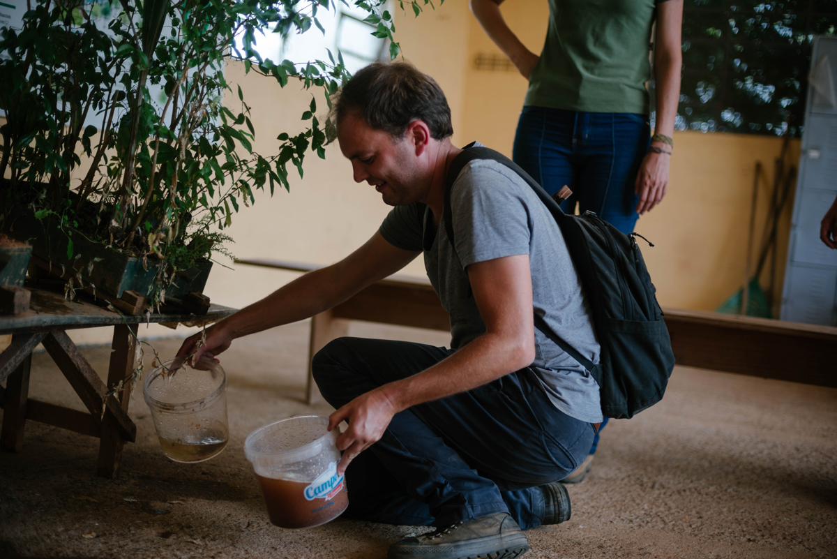 brazil-atlantic-forest-amazon-rainforest-ecosia-tree-planting-erosion-box