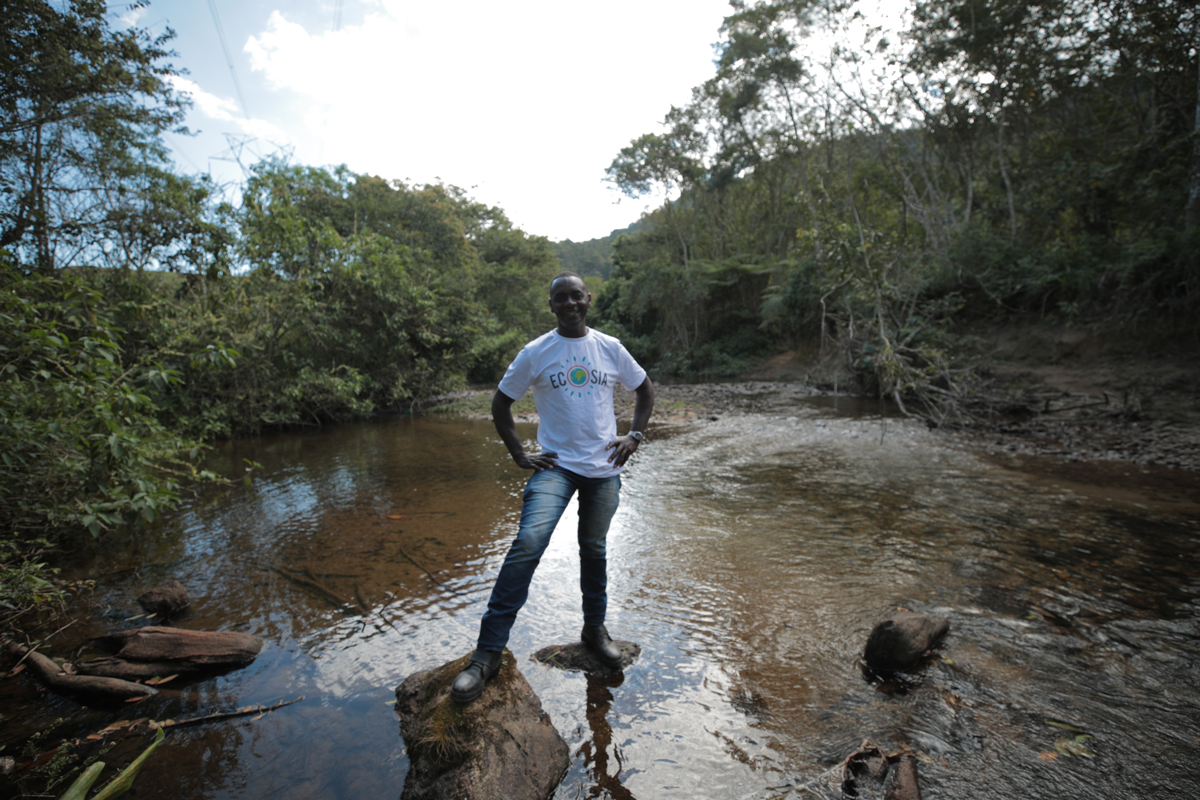 The Other Brazilian Rainforest: Why Restoring the Atlantic Forest Can Help  Tackle Climate Change - Cities4Forests