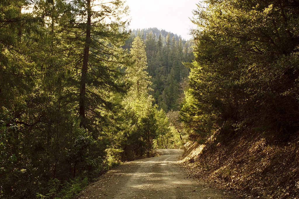 Klamath_National_Forest-Ecosia