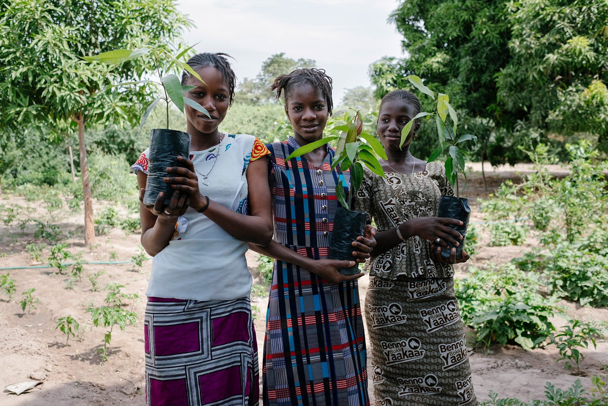 does ecosia actually plant trees