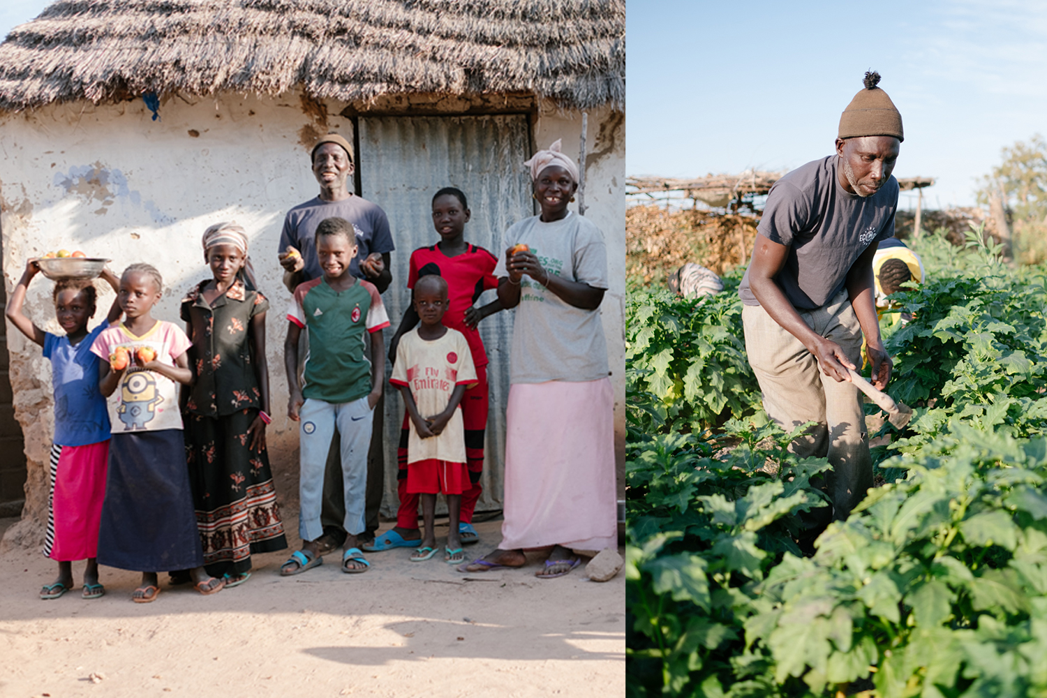 Senegal-Ecosia-Forest-Garden-Agroforestry-trees-climate-change--32-of-103-