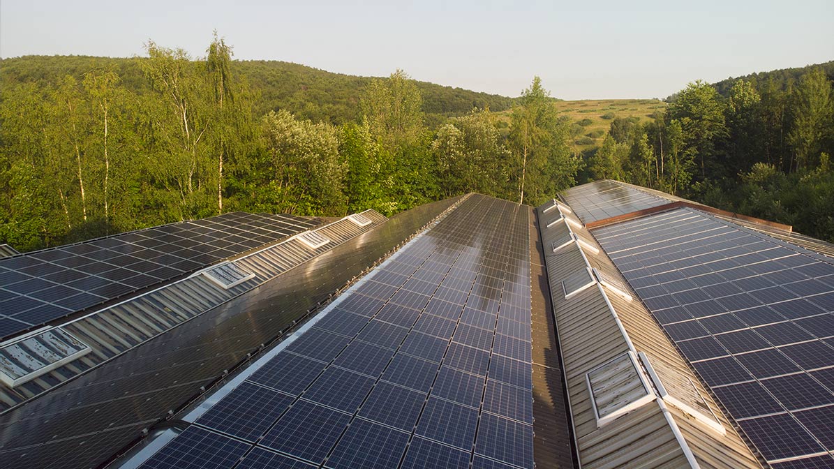 One of Ecosia's solar plants, in Aue, Germany.