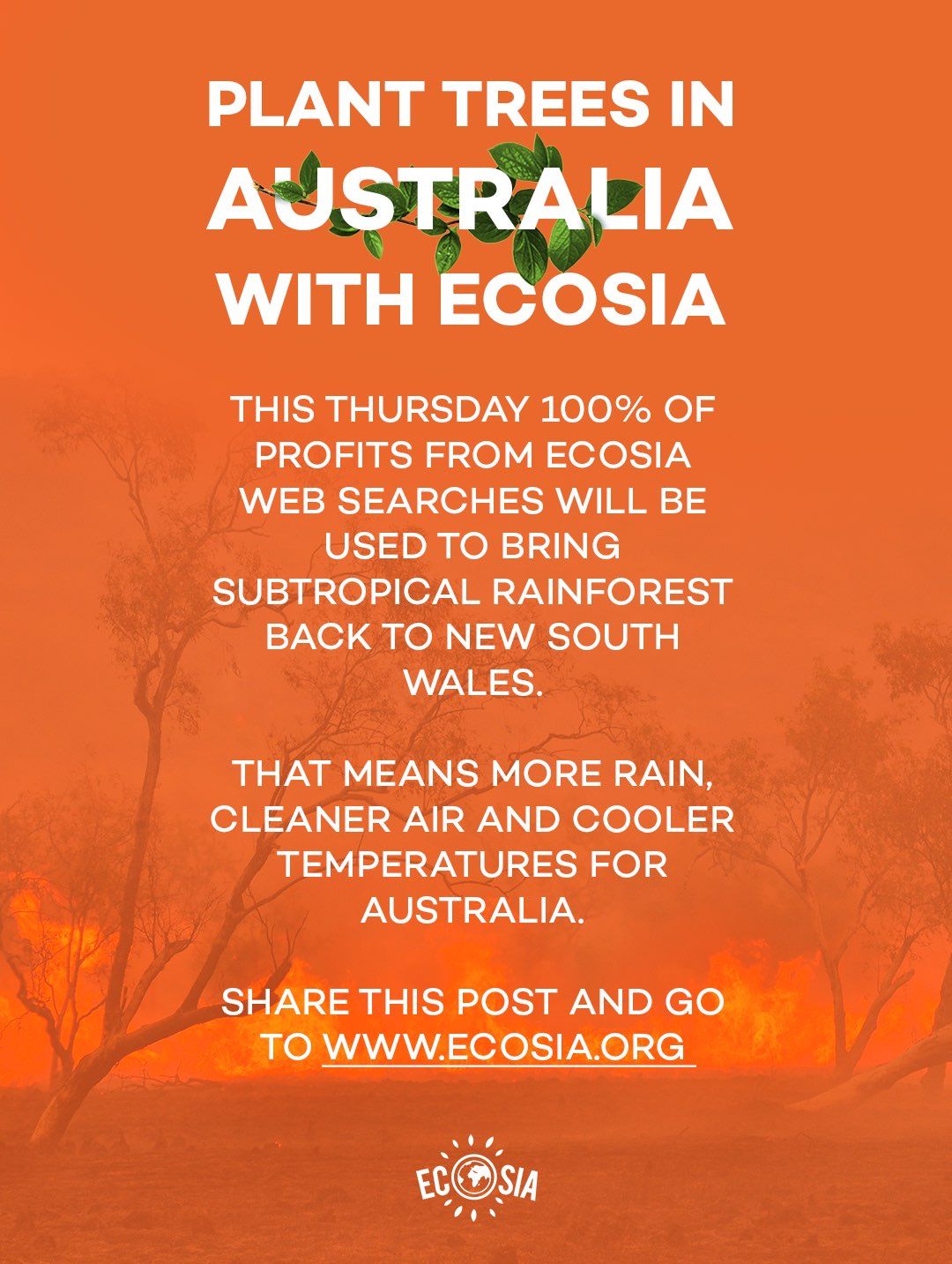 does ecosia actually plant trees