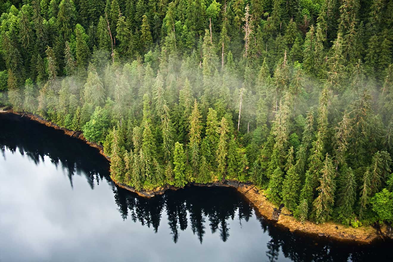 The Tongass Forest