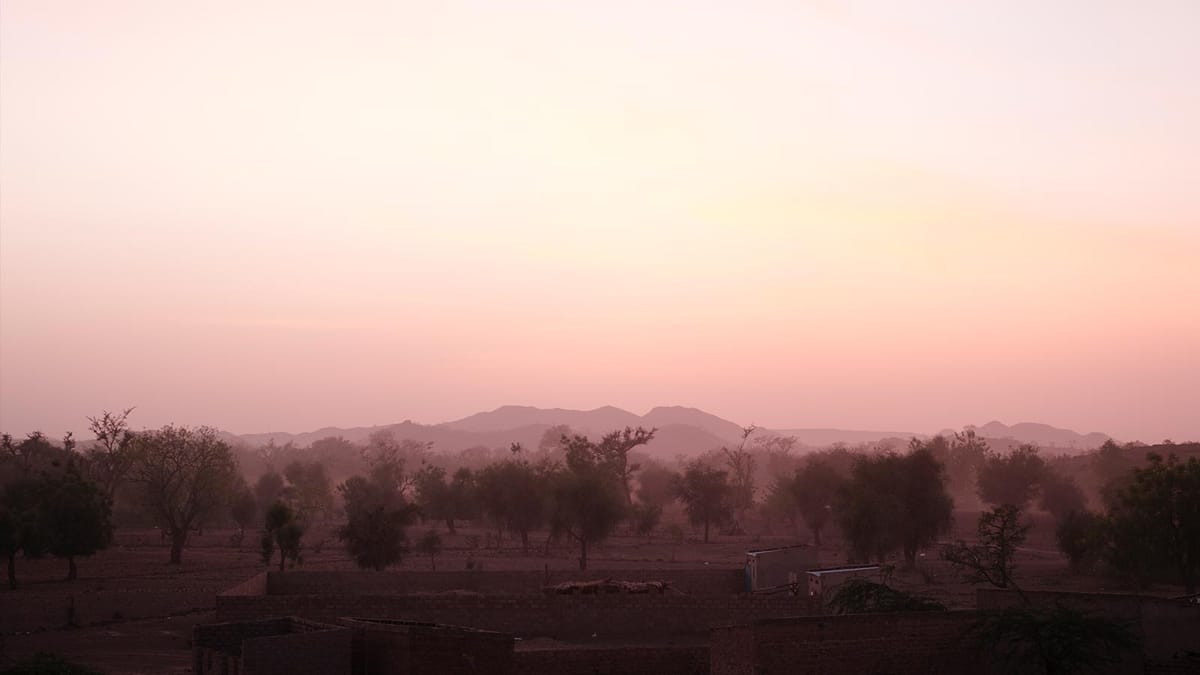 Can Ecosia plant 1 billion trees for the Great Green Wall?