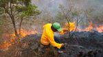 We’re committing €800,000 to fight wildfires this year