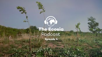 ecosia alternatives