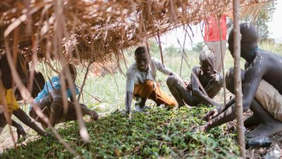 Moses used to produce charcoal. Now he's saving chimps by planting trees.