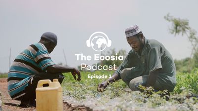 Introducing the Ecosia podcast!