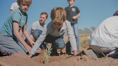 40 million more trees in the world!