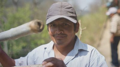 Trees, community and how Peru’s farmers fight deforestation