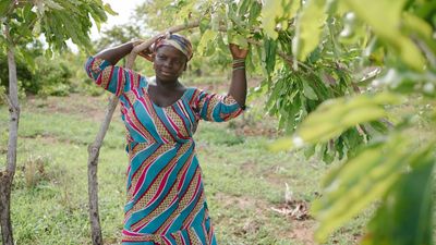 Why we plant fruit and nut trees along a river in Ghana: Makada’s story