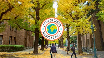 Ecosia on Campus: students worldwide are campaigning to plant trees