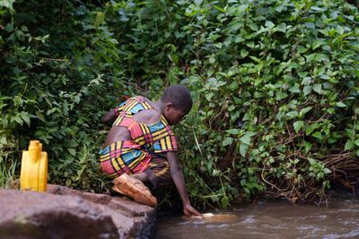 Protecting Kenya's rivers with trees