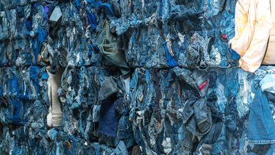 The circular economy: is fast going out of fashion?