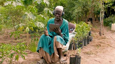 The people who plant your trees react to your messages