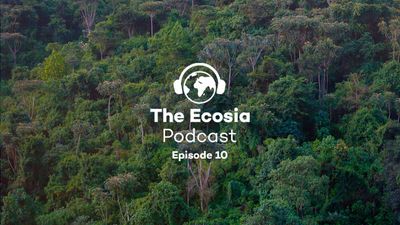 How Ecosia protects your privacy online