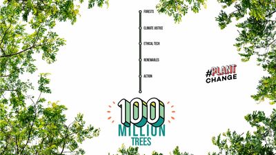 Ecosia users have planted 100 million trees: a milestone and a beginning!