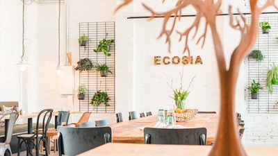 Supporting new engineering talent with Ecosia Summer of Code