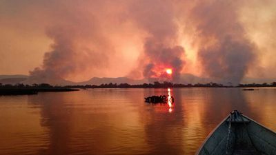The world’s largest wetland is on fire: how can we save the Pantanal?
