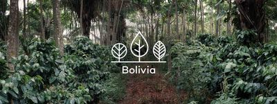 Your trees in Bolivia