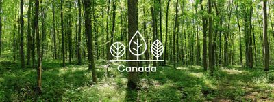 Your Trees in Canada