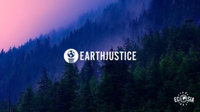 Your voice on climate counts: revenue from all US searches goes towards Earthjustice until polls close