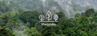 Your trees in Rwanda