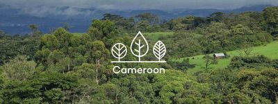 Your trees in Cameroon