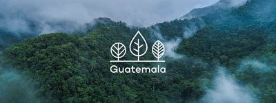 Your trees in Guatemala