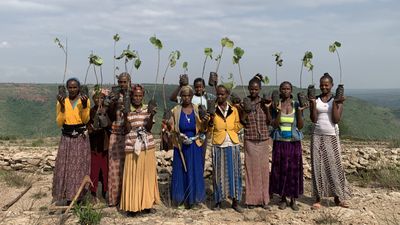 Why the climate movement needs rural women