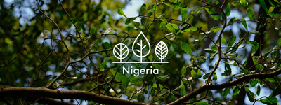 Your trees in Nigeria