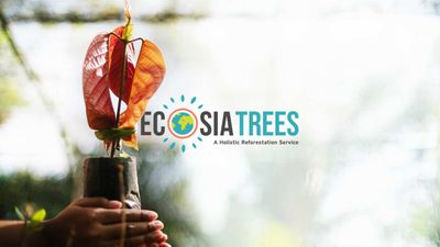 Our plan to plant more trees, faster: introducing Ecosia Trees