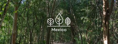 Your trees in Mexico