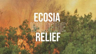 Join the #EcosiaWildfireRelief to fight fires and restore forests!