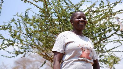 Bringing back forests without planting trees in Tanzania