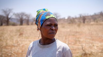 Before and after deforestation: Neema’s climate crisis, and her solutions