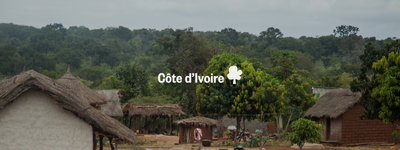 Your trees in Côte d'Ivoire