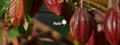 Your trees in Haiti