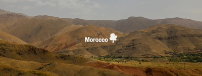 Your trees in Morocco