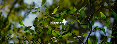 Your trees in Nigeria