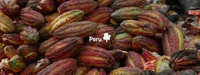 Your trees in Peru