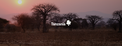 Your trees in Tanzania