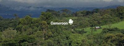 Your trees in Cameroon