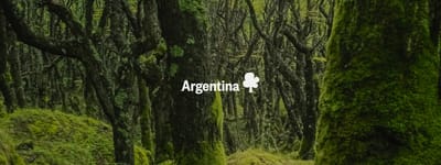 Your trees in Argentina